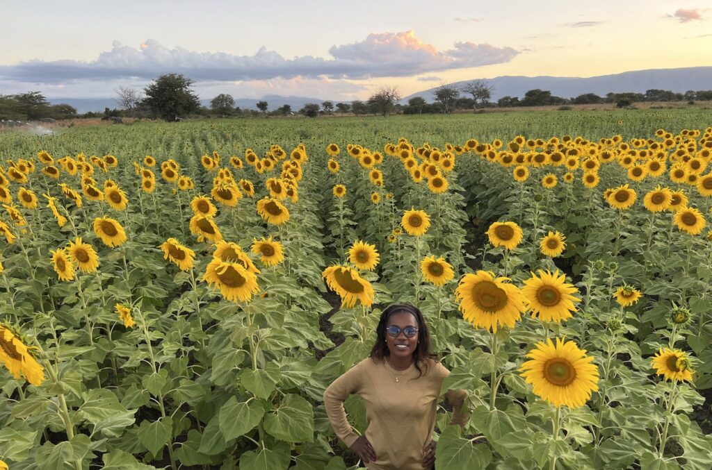 Invest in Sunflower Farming