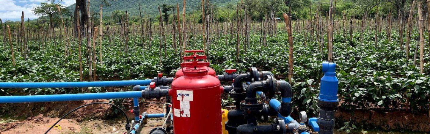 Phoisec Co Limited1 IMG_E3853