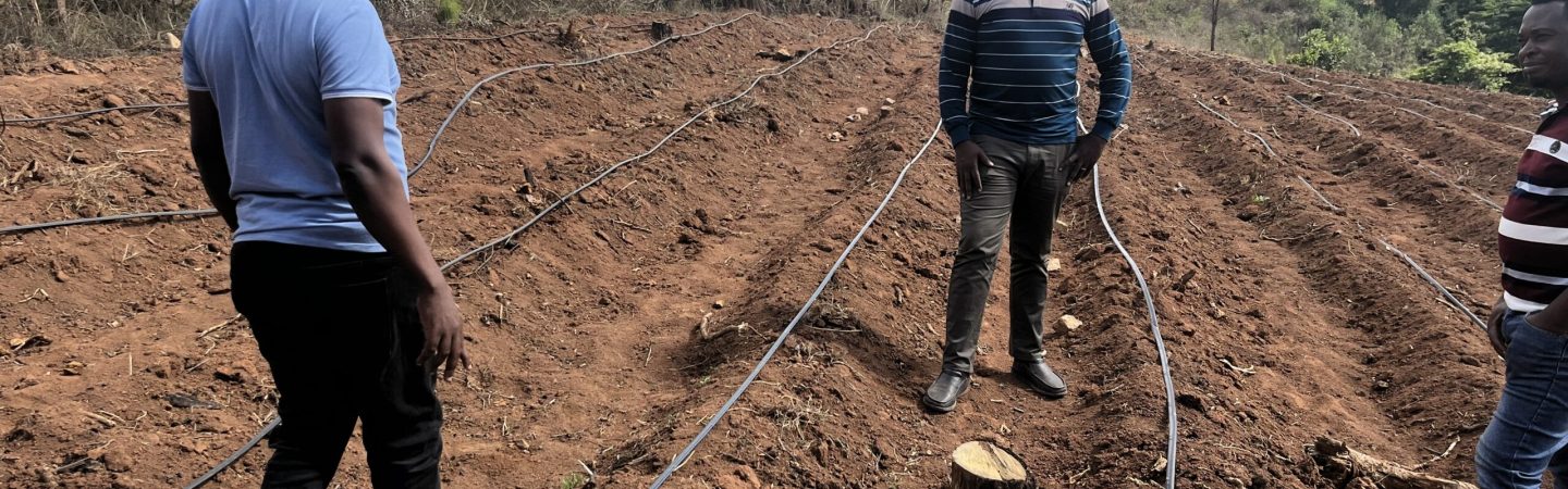 Phoisec Co LimitedIMG_1469