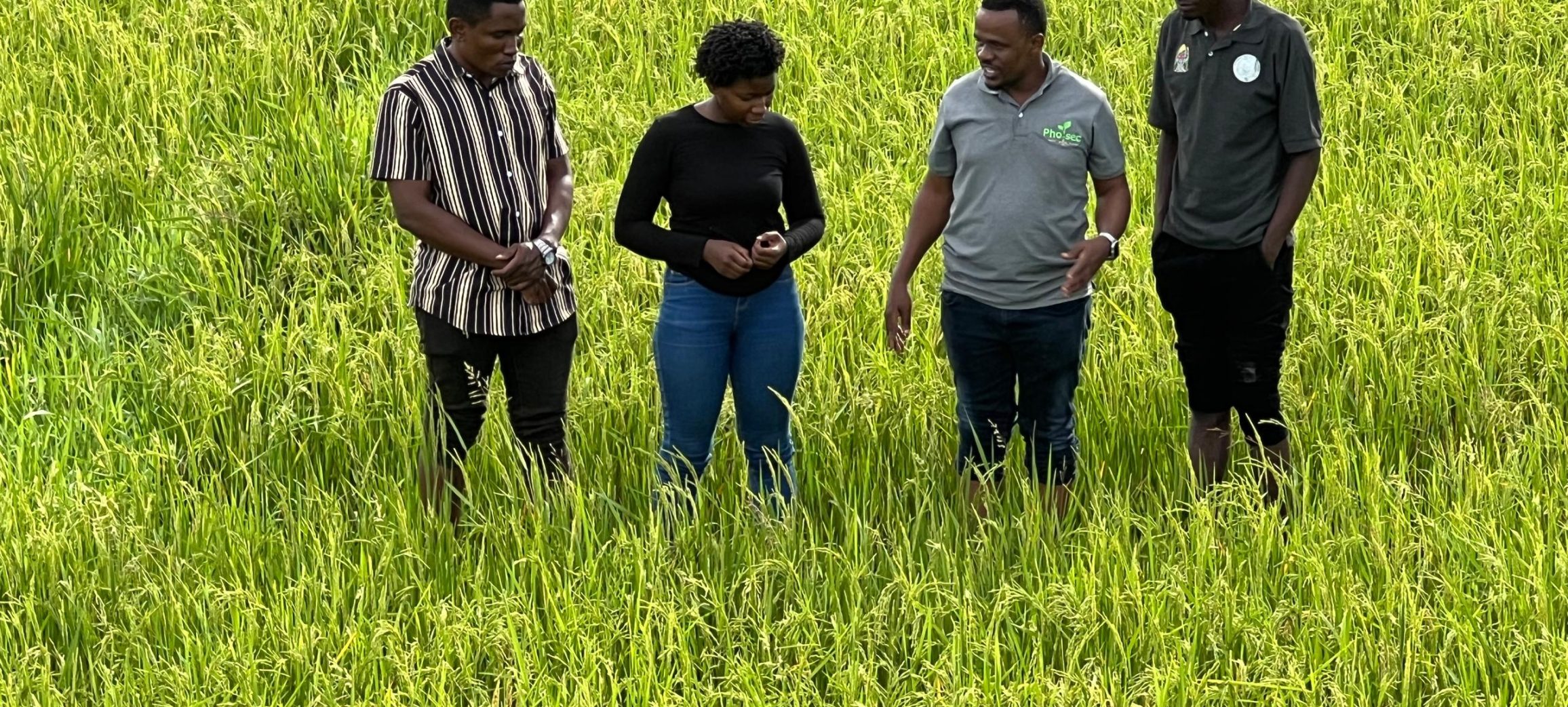 Phoisec TanzaniaWhatsApp Image 2025-04-02 at 08.49.04