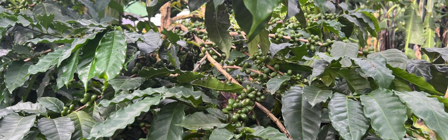 Phoisec TanzaniaWhatsApp Image 2025-04-02 at 08.50.49