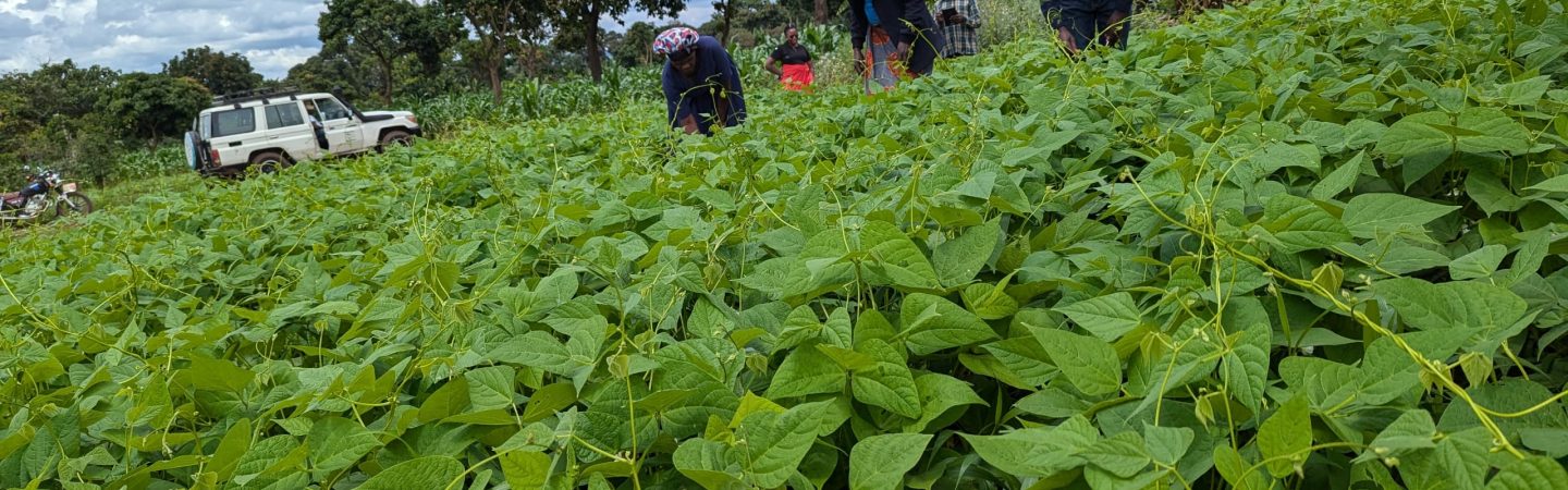 Phoisec TanzaniaWhatsApp Image 2025-04-16 at 10.34.52